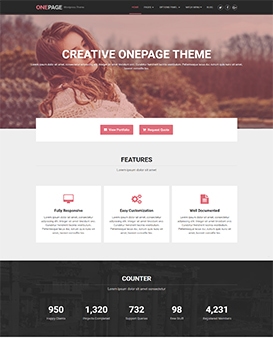 OnePage Lite – Free WordPress Theme